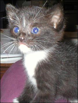 It's Sox!