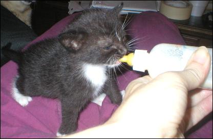 It's Sox!