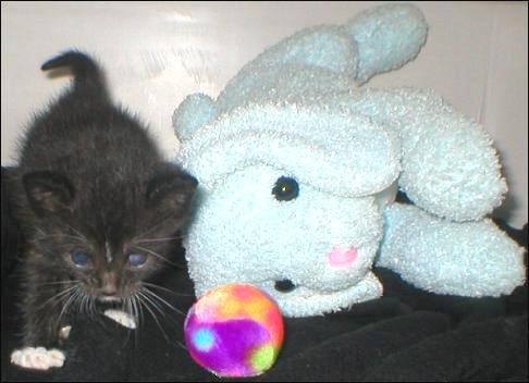 It's Sox!