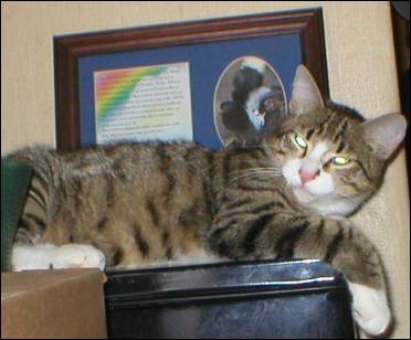 It's Bootsie!