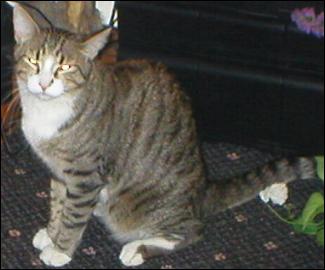 It's Bootsie!