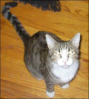 It's Bootsie!