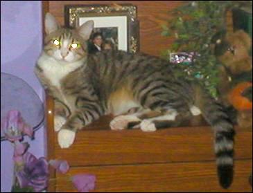 It's Bootsie!