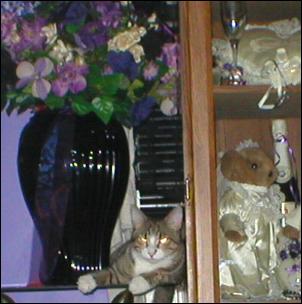 It's Bootsie!