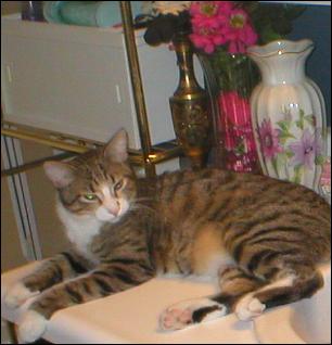 It's Bootsie!