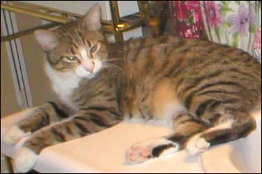 It's Bootsie!