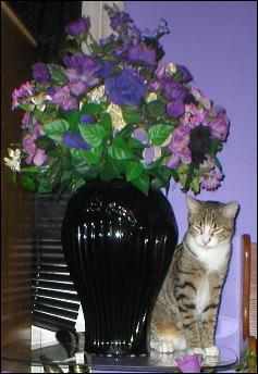 It's Bootsie!