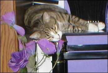 It's Bootsie!