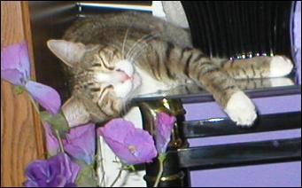 It's Bootsie!