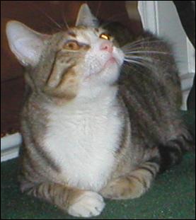 It's Bootsie!