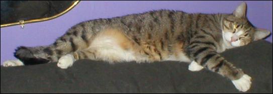 It's Bootsie!