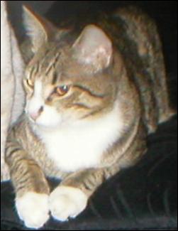 It's Baby Bootsie!