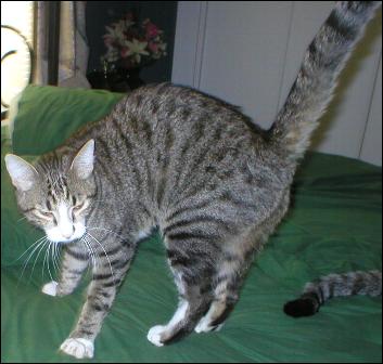 It's Bootsie!