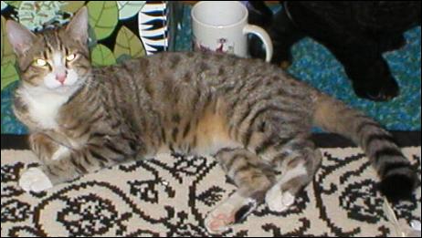It's Bootsie!