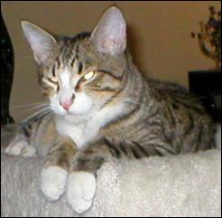 It's Bootsie!