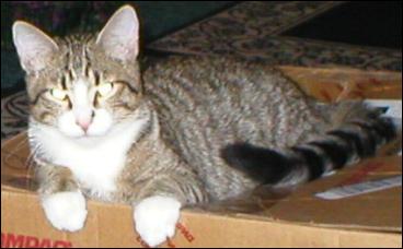It's Bootsie!