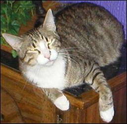 It's Bootsie!