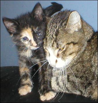 It's baby Gypsy!