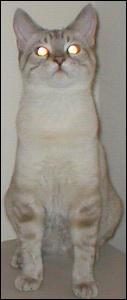 It's Buster