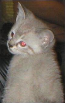 It's baby Buster!