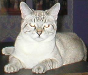 It's Buster
