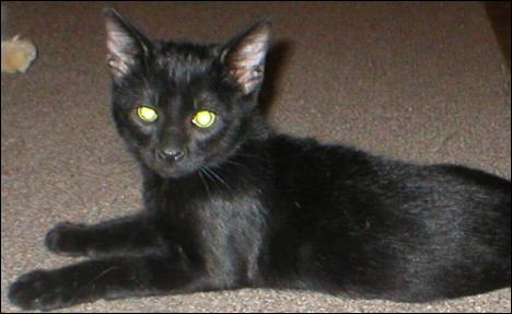It's Ebony!