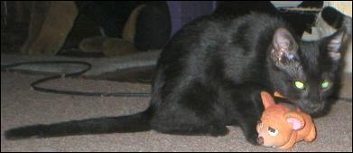 It's Ebony!