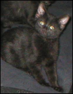 It's Ebony!