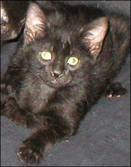 It's Ebony!