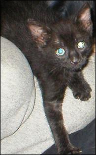 It's Ebony!