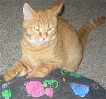 It's Goldie!