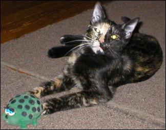 It's Gypsy!