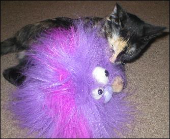 It's Gypsy!