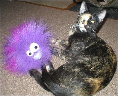 It's Gypsy!