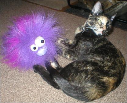 It's Gypsy!