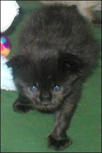It's Blackjack!