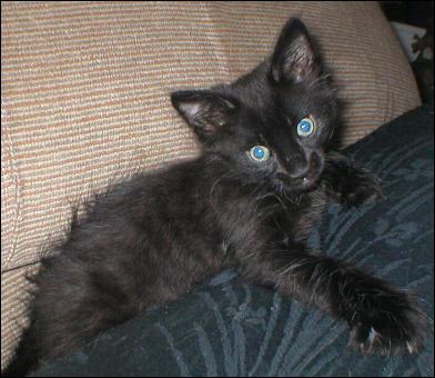 It's Blackjack!
