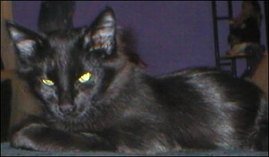 It's Blackjack!