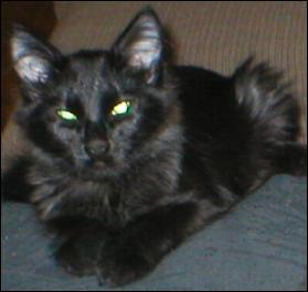 It's Blackjack!