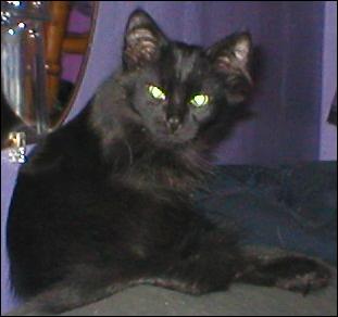It's Blackjack!