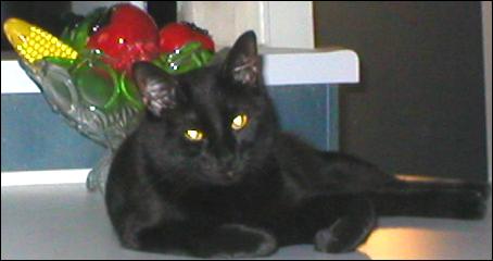 It's Jasper!
