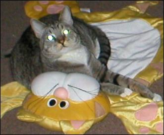 It's Mittens!