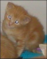 It's Peaches!