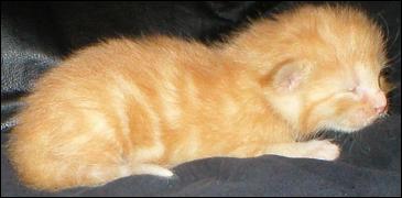 It's Peaches!
