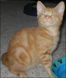 It's Peaches!