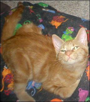 It's Peaches!