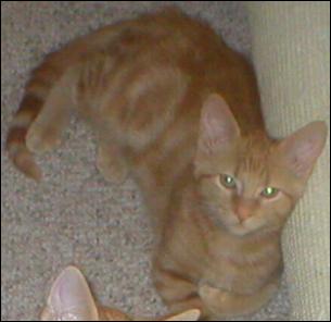 It's Peaches!