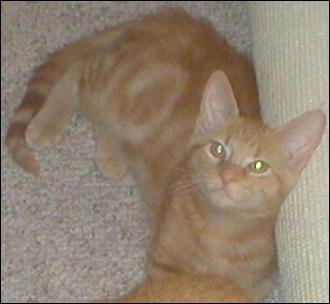 It's Peaches!