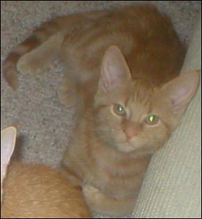 It's Peaches!