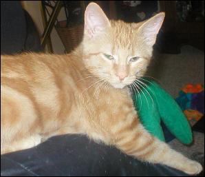 It's Peaches!